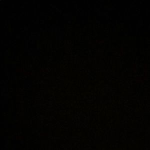 Meet your Posher, Camryn